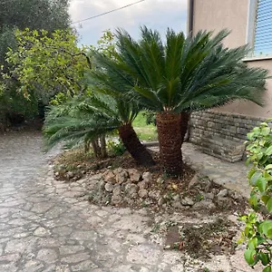 Il Giardino Delle Cycas Romito Magra